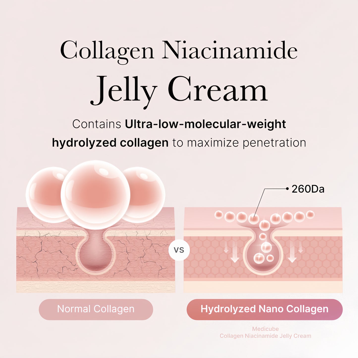 Collagen Jelly Face Cream